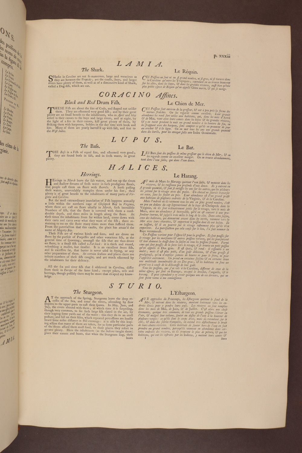 Page xxxiii